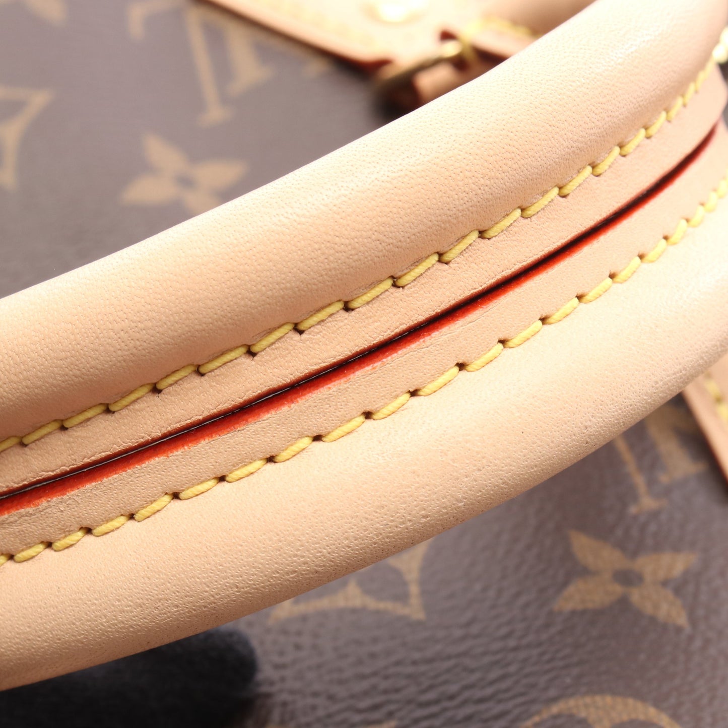 ハンドバッグ PVC レザー ブラウン 2WAY ルイヴィトン バッグ LOUIS VUITTON