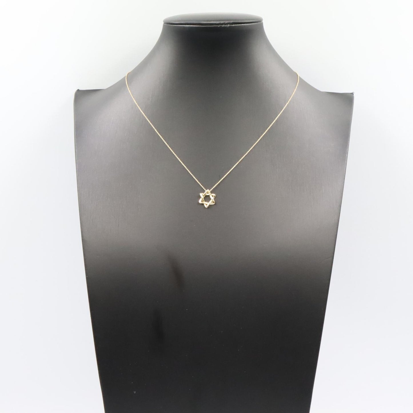 ダビデ ネックレス ネックレス K18YG イエローゴールド ティファニー アクセサリー TIFFANY & Co.