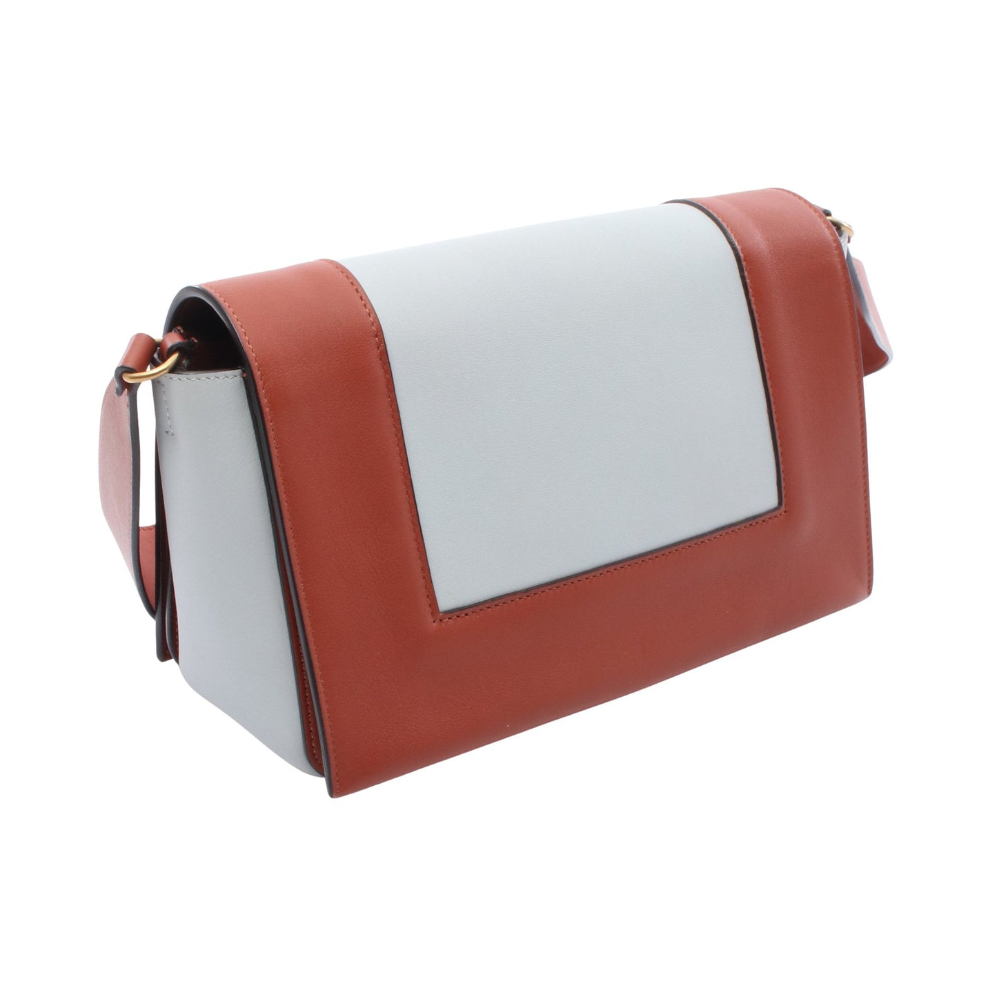 フレーム ミディアム ショルダーバッグ レザー ライトブルー ブラウン セリーヌ バッグ CELINE