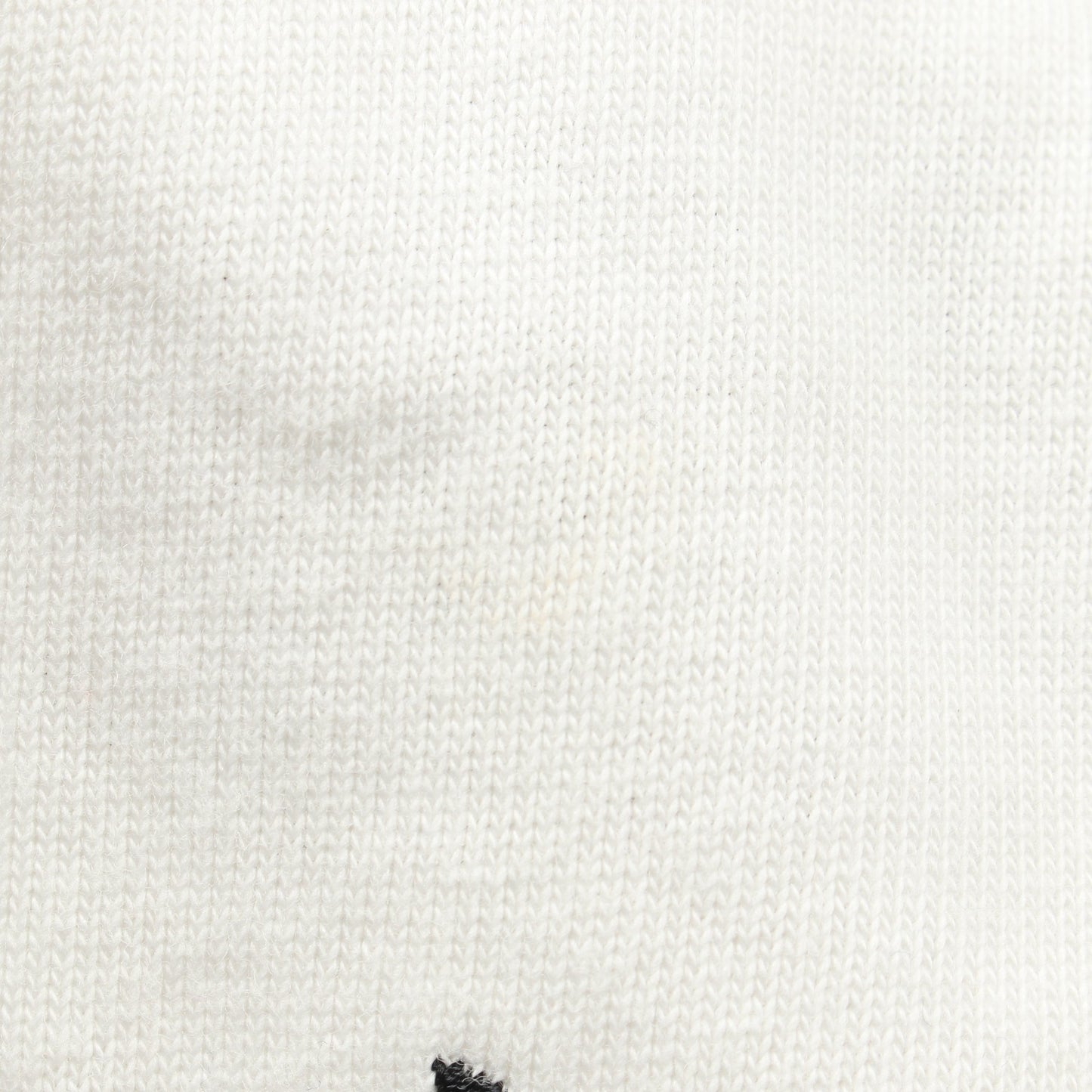 Dior HOMME × RAYMOND PETTIBON Tシャツ クルーネック ロゴ刺繍 コットン ホワイト ディオールオム トップス Dior HOMME