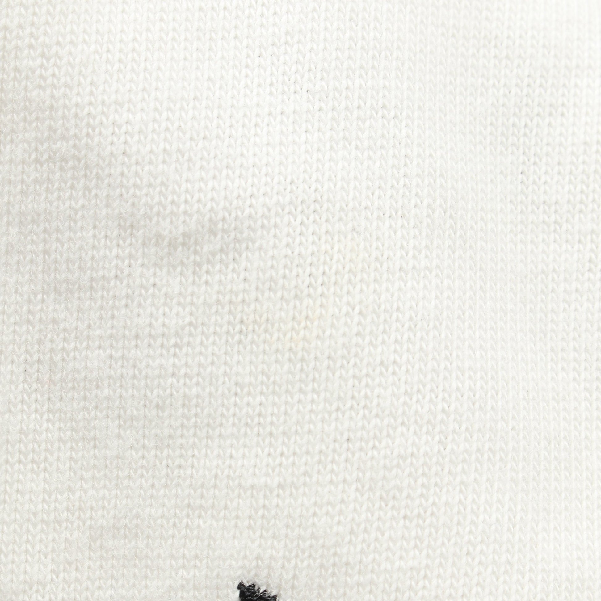 Dior HOMME × RAYMOND PETTIBON Tシャツ クルーネック ロゴ刺繍 コットン ホワイト ディオールオム トップス Dior HOMME