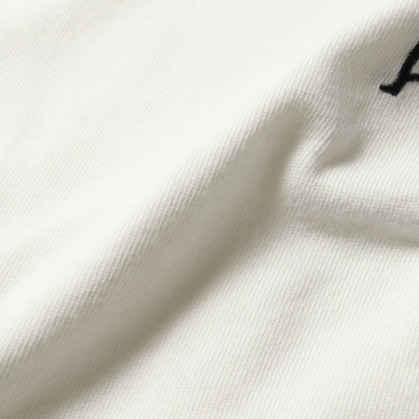 Dior HOMME × RAYMOND PETTIBON Tシャツ クルーネック ロゴ刺繍 コットン ホワイト ディオールオム トップス Dior HOMME