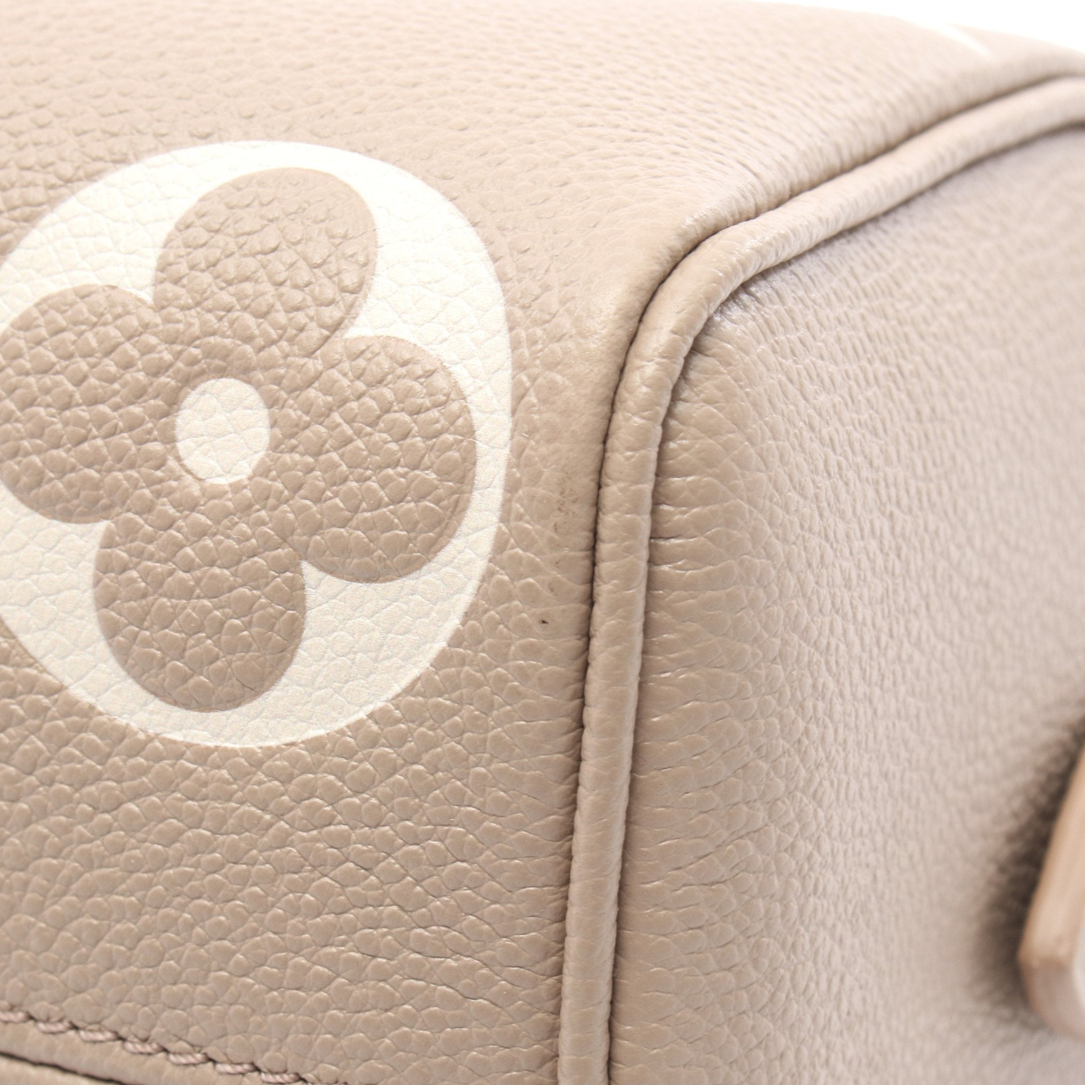 スピーディバンドリエール20 モノグラムアンプラント ハンドバッグ