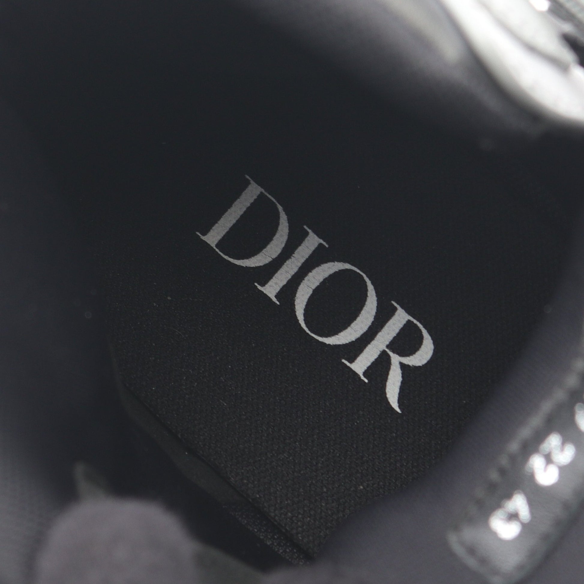 Diorizon Hiking Boot ブーツ ファブリック ブラック パープル イエロー ディオール シューズ DIOR