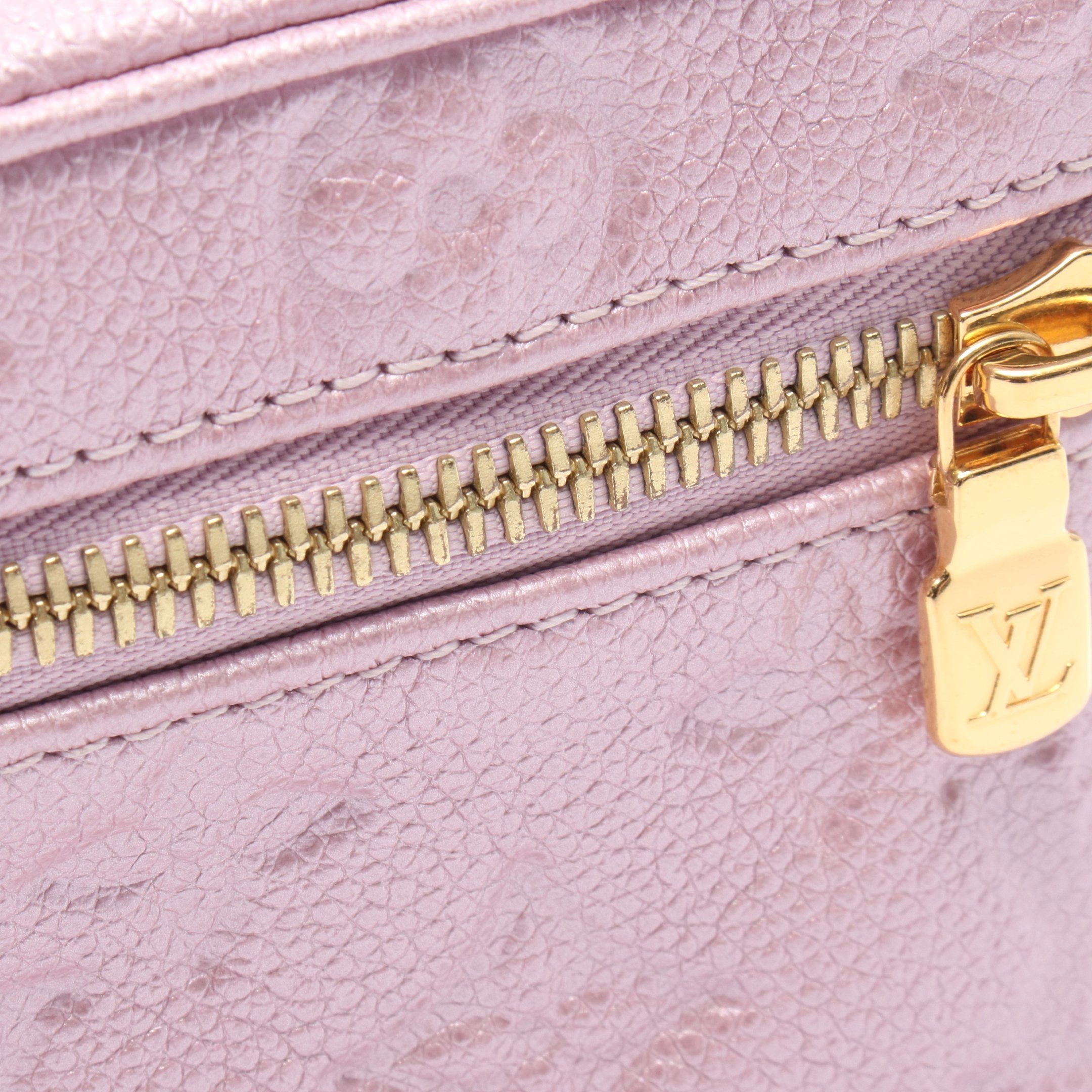 ミクロヴァニティ モノグラムアンプラント ハンドバッグ レザー