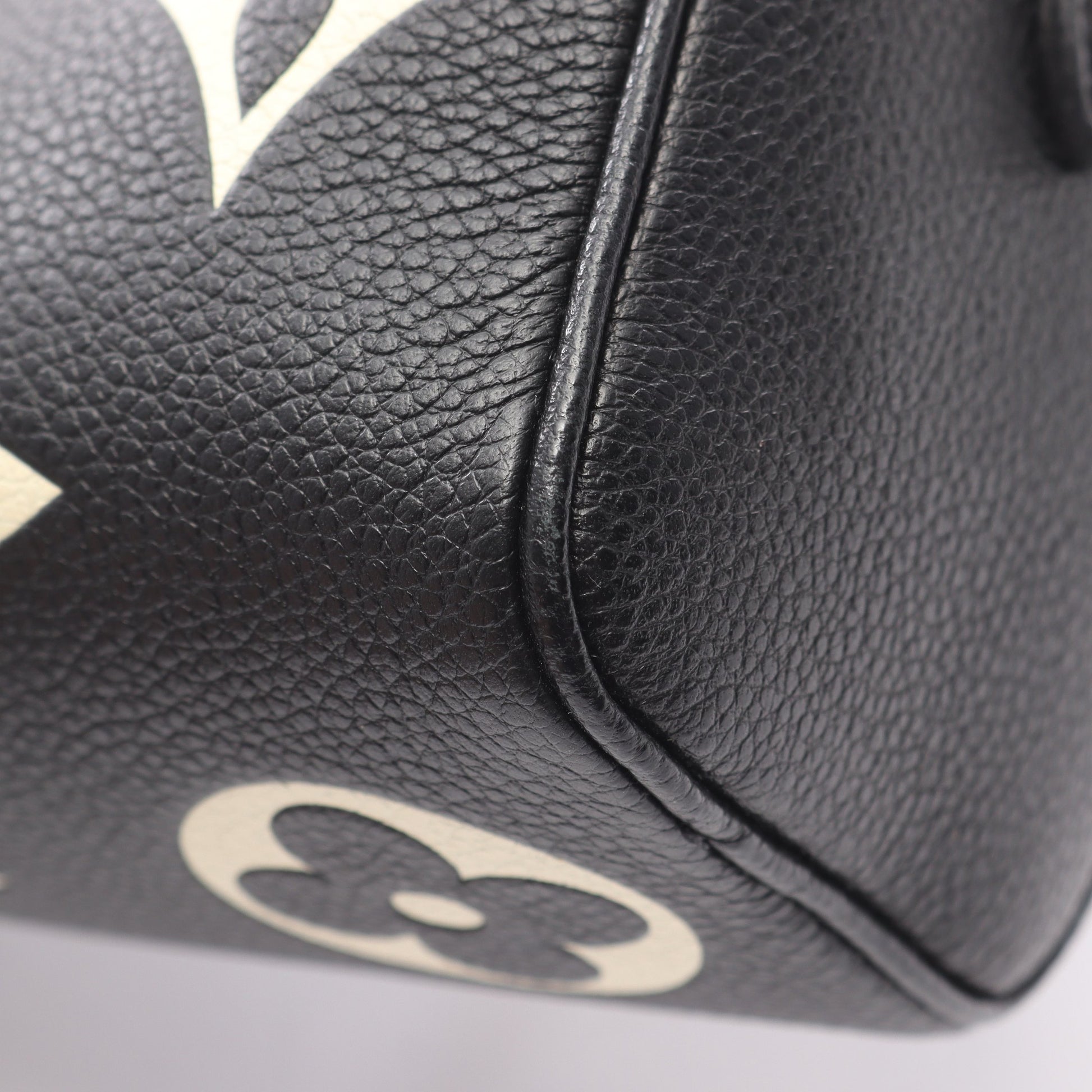ナノスピーディ バイカラーモノグラムアンプラント ハンドバッグ レザー ブラック ベージュ 2WAY ルイヴィトン バッグ LOUIS VUITTON