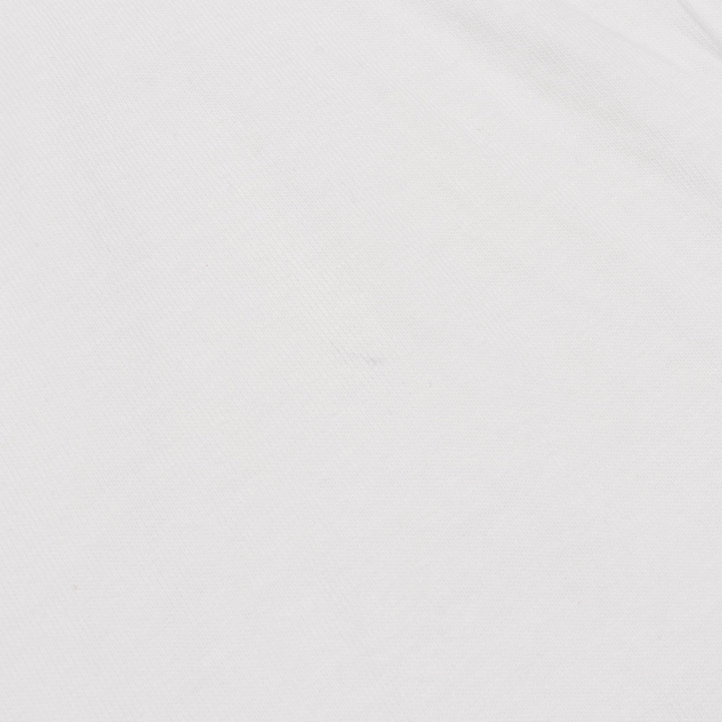 ロゴ Tシャツ クルーネック トリコロールモチーフ コットン ホワイト レッド ネイビー モンクレール トップス MONCLER