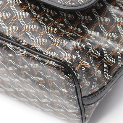 カペシアンMM ショルダーバッグ コーティングキャンバス レザー ブラック マルチカラー ゴヤール バッグ GOYARD