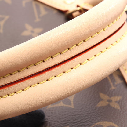 ハンドバッグ PVC レザー ブラウン 2WAY ルイヴィトン バッグ LOUIS VUITTON