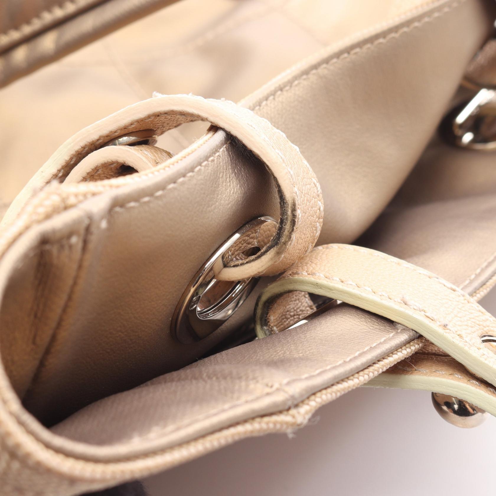 パリビアリッツPM ハンドバッグ トートバッグ コーティングキャンバス