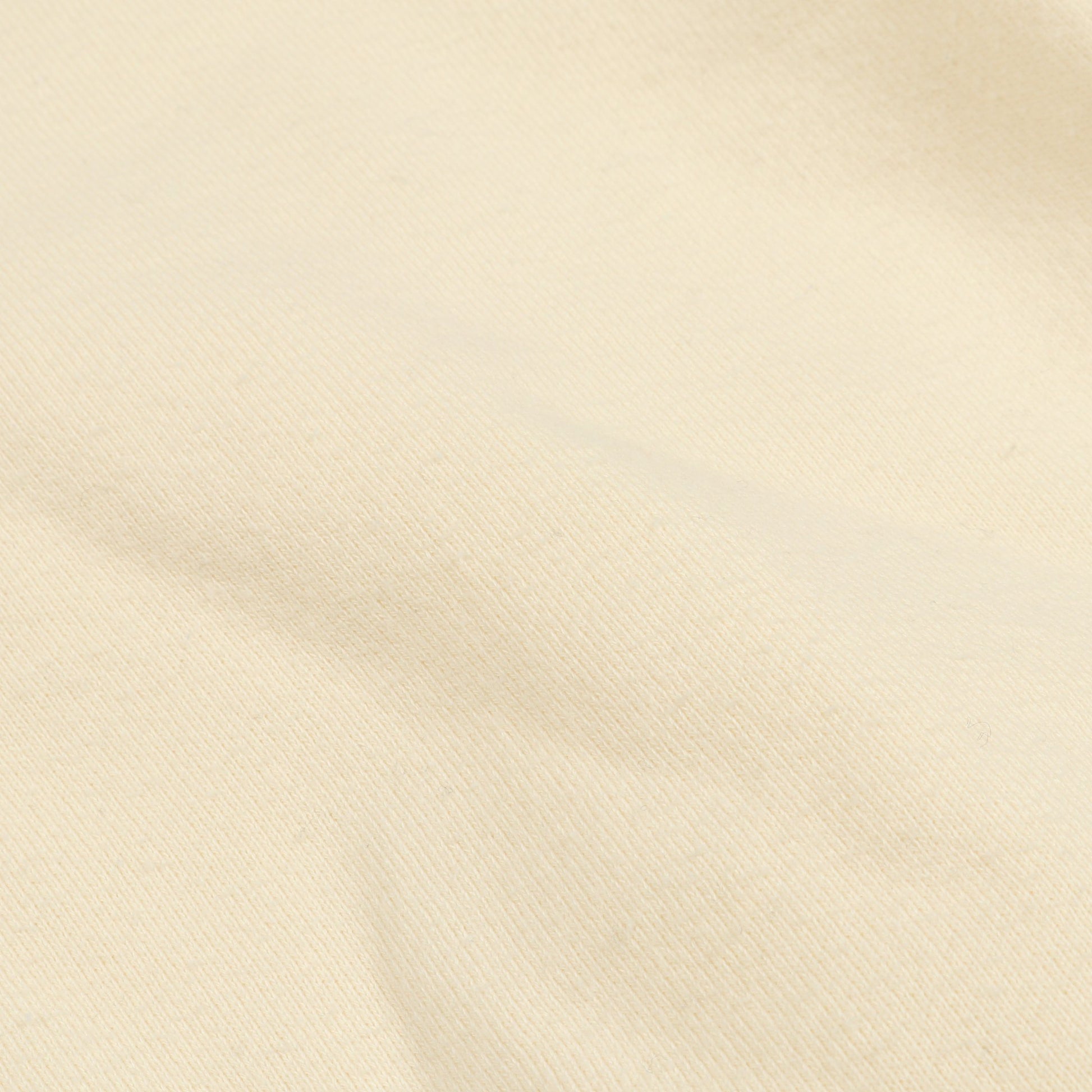 プルオーバーパーカー バックロゴ コットン アイボリー 裏起毛 エフオージーエッセンシャルズ トップス FOG ESSENTIALS