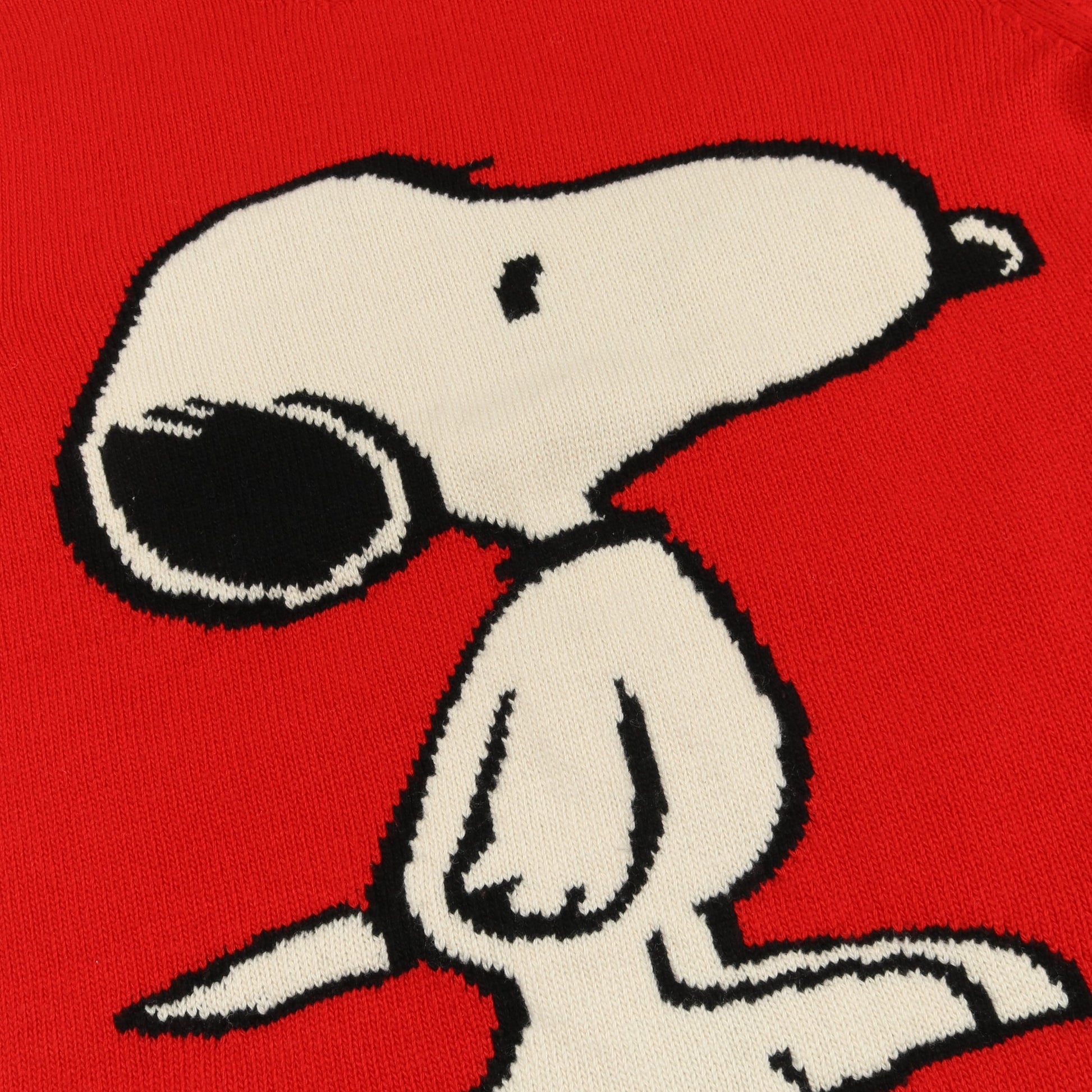 GUCCI × PEANUTS スヌーピー ニット クルーネック バックタイガー 