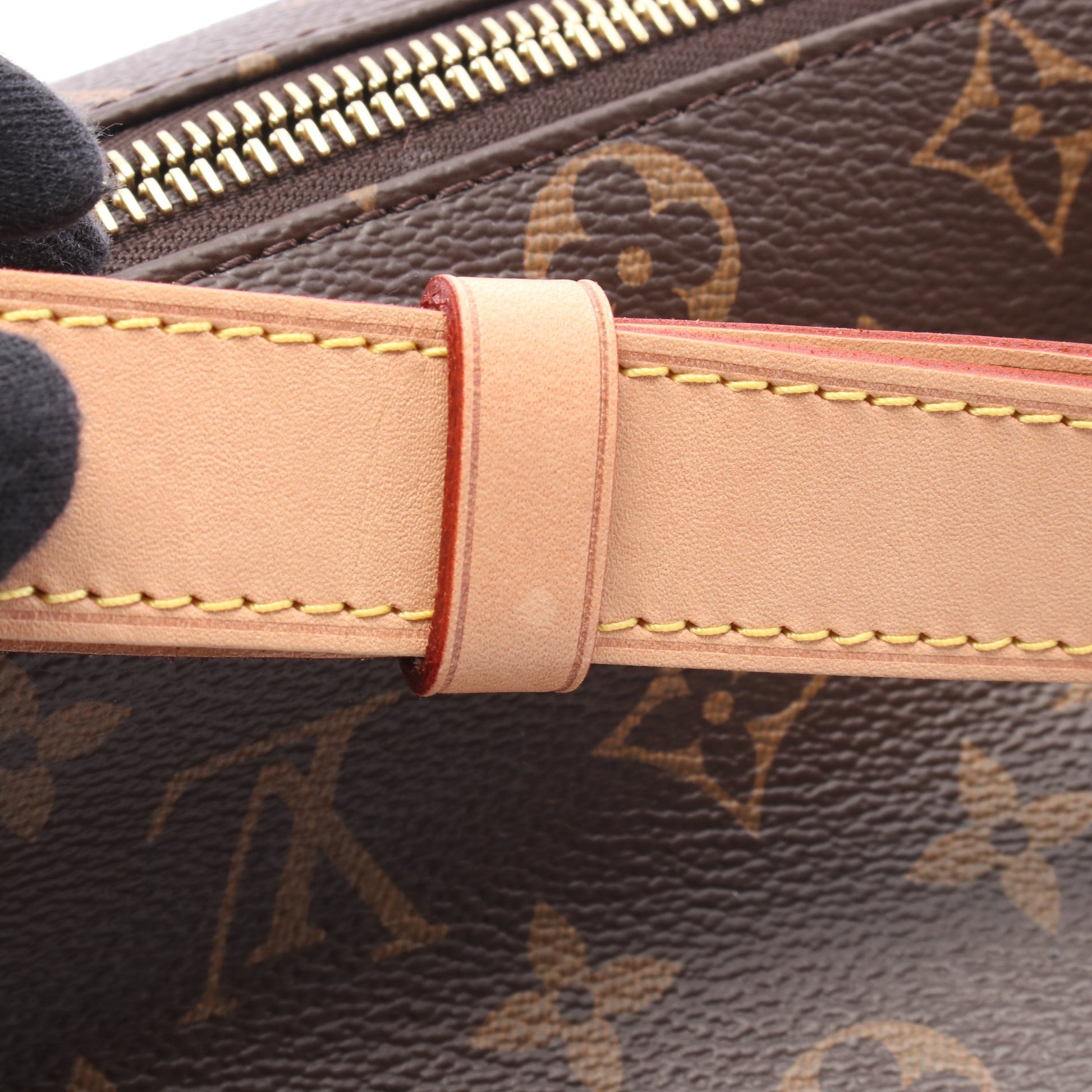 バムバッグ モノグラム ボディバッグ PVC レザー ブラウン ルイヴィトン バッグ LOUIS VUITTON