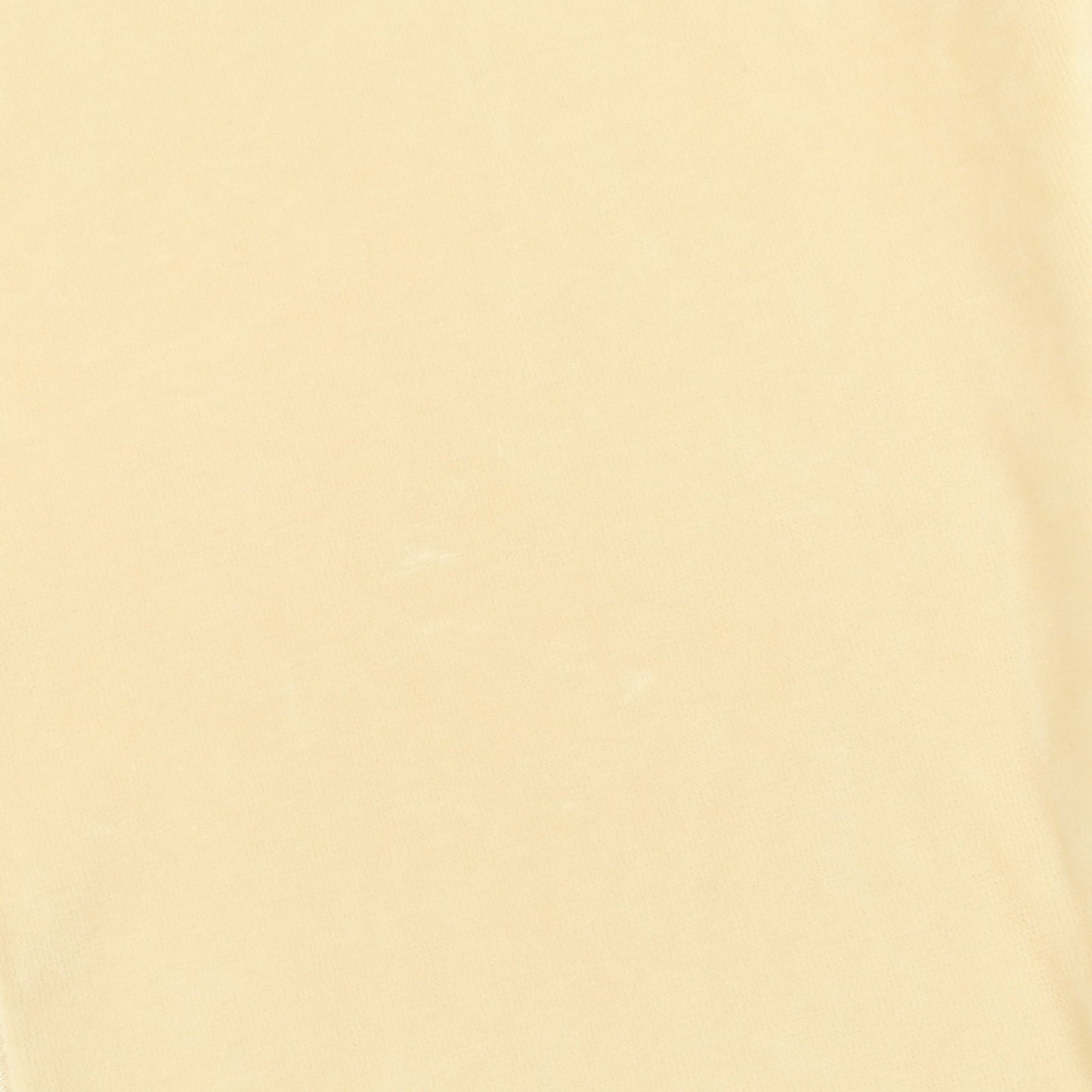 ベロア イージーパンツ スウェットパンツ コットン ライトベージュ セリーヌ ボトムス CELINE