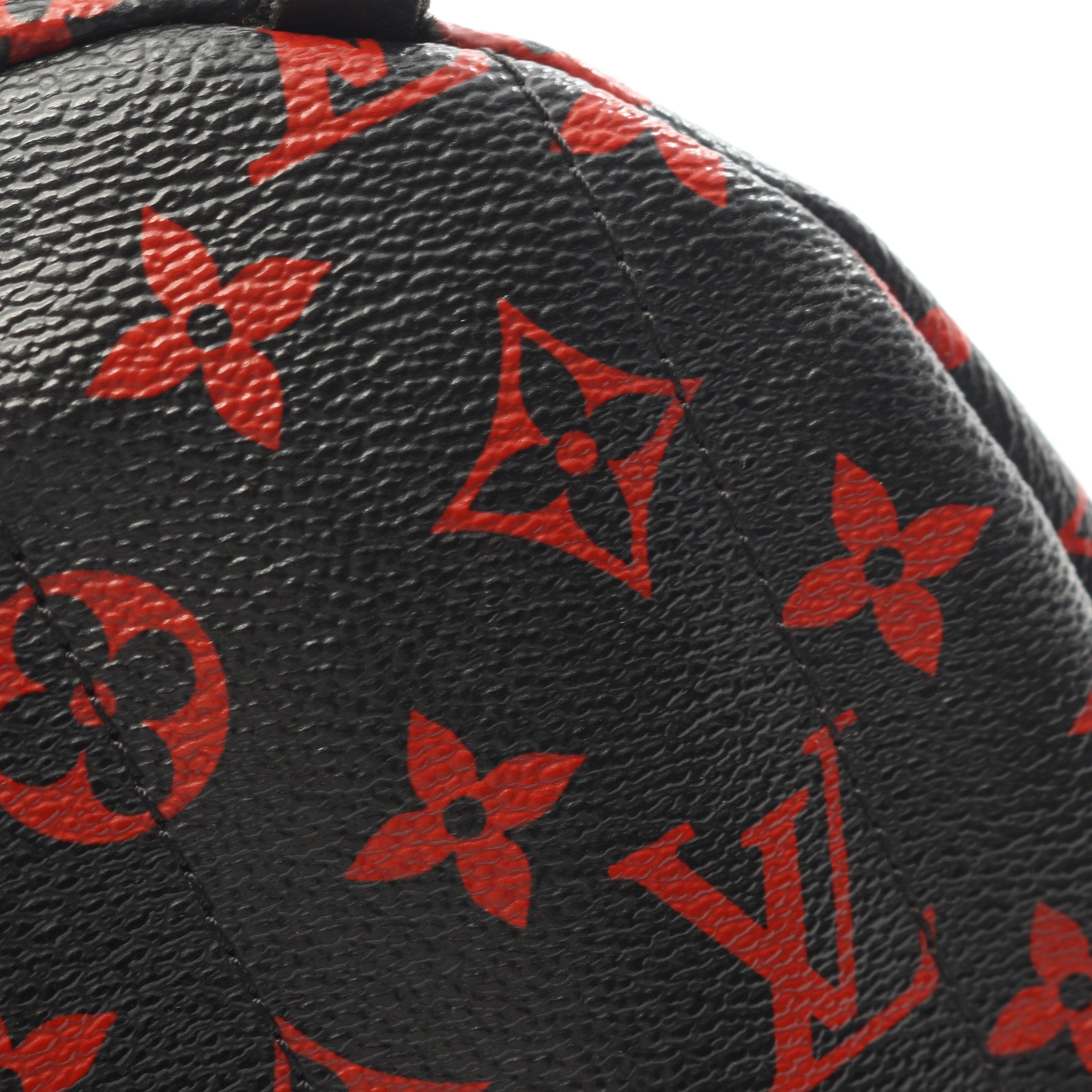 パームスプリングス バックパック ミニ モノグラムアンフラルージュ