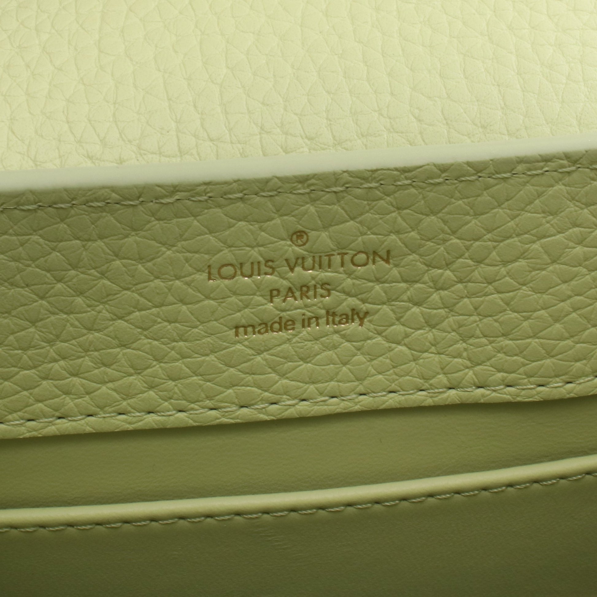 カプシーヌ MINI ハンドバッグ レザー イエローグリーン オフホワイト グレーグリーン 2WAY ルイヴィトン バッグ LOUIS VUITTON