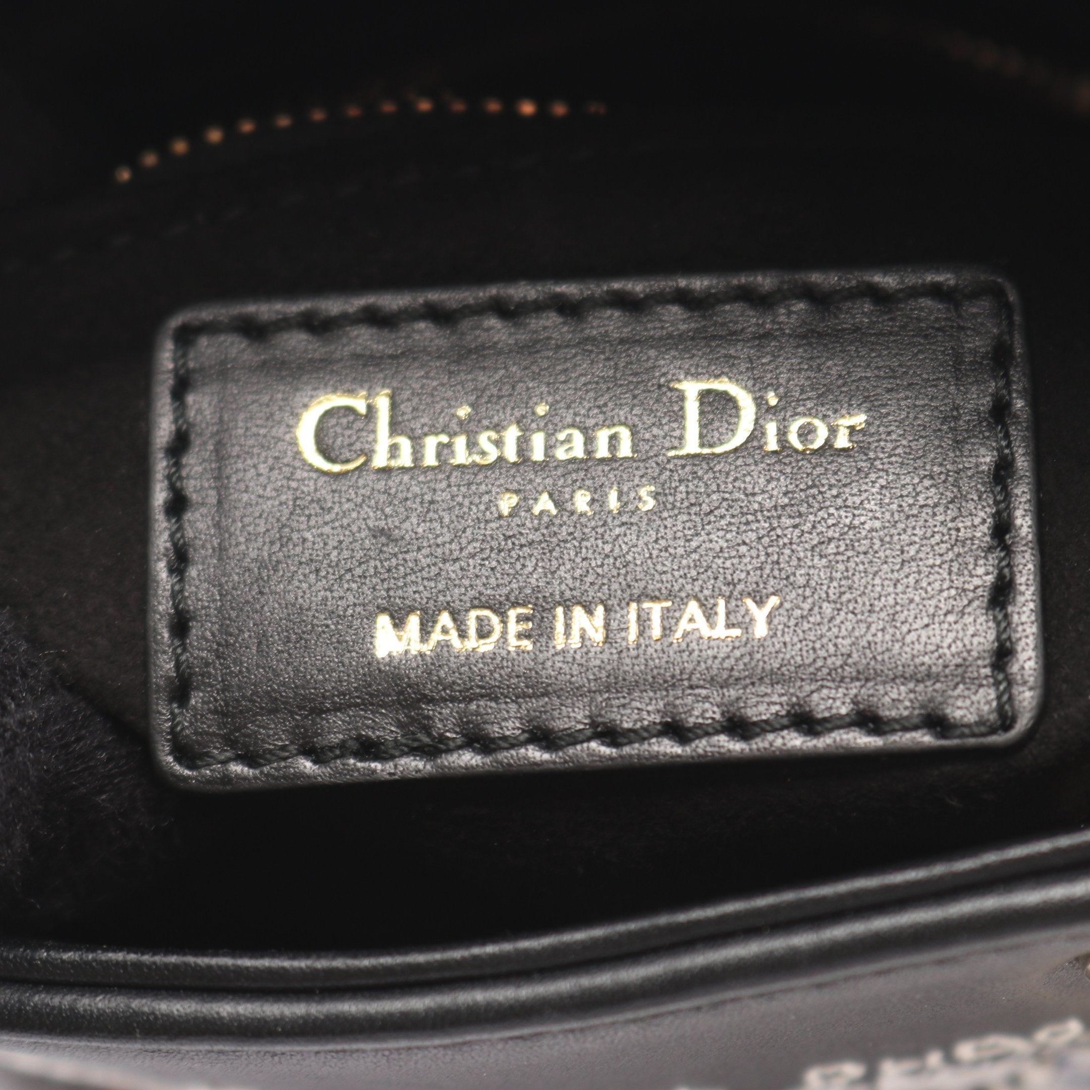 DIOR × NIKI DE SAINT PHALLE レディディオール ミニ ハンドバッグ