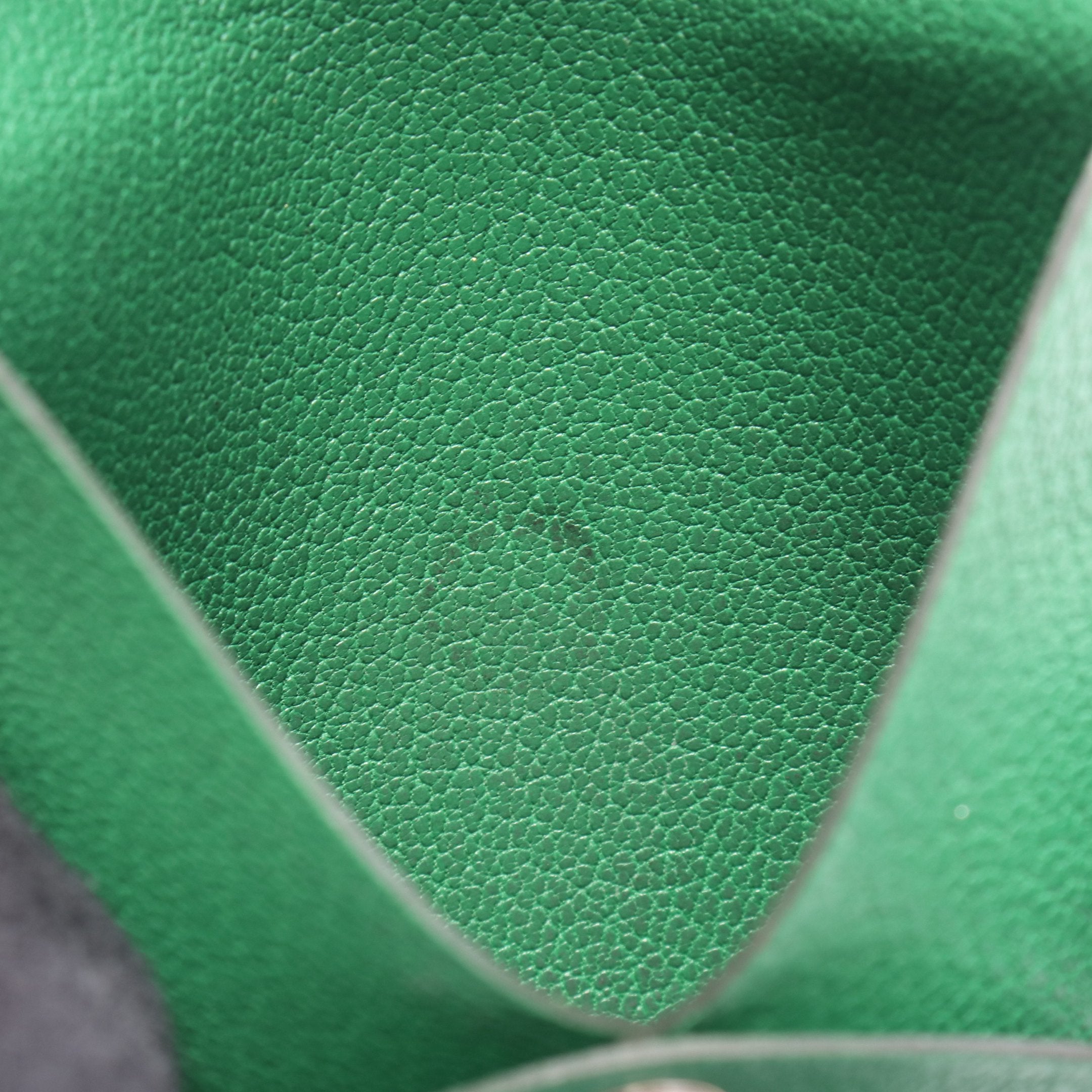 バスティア バンブー コインケース シェーブル グリーン シルバー金具