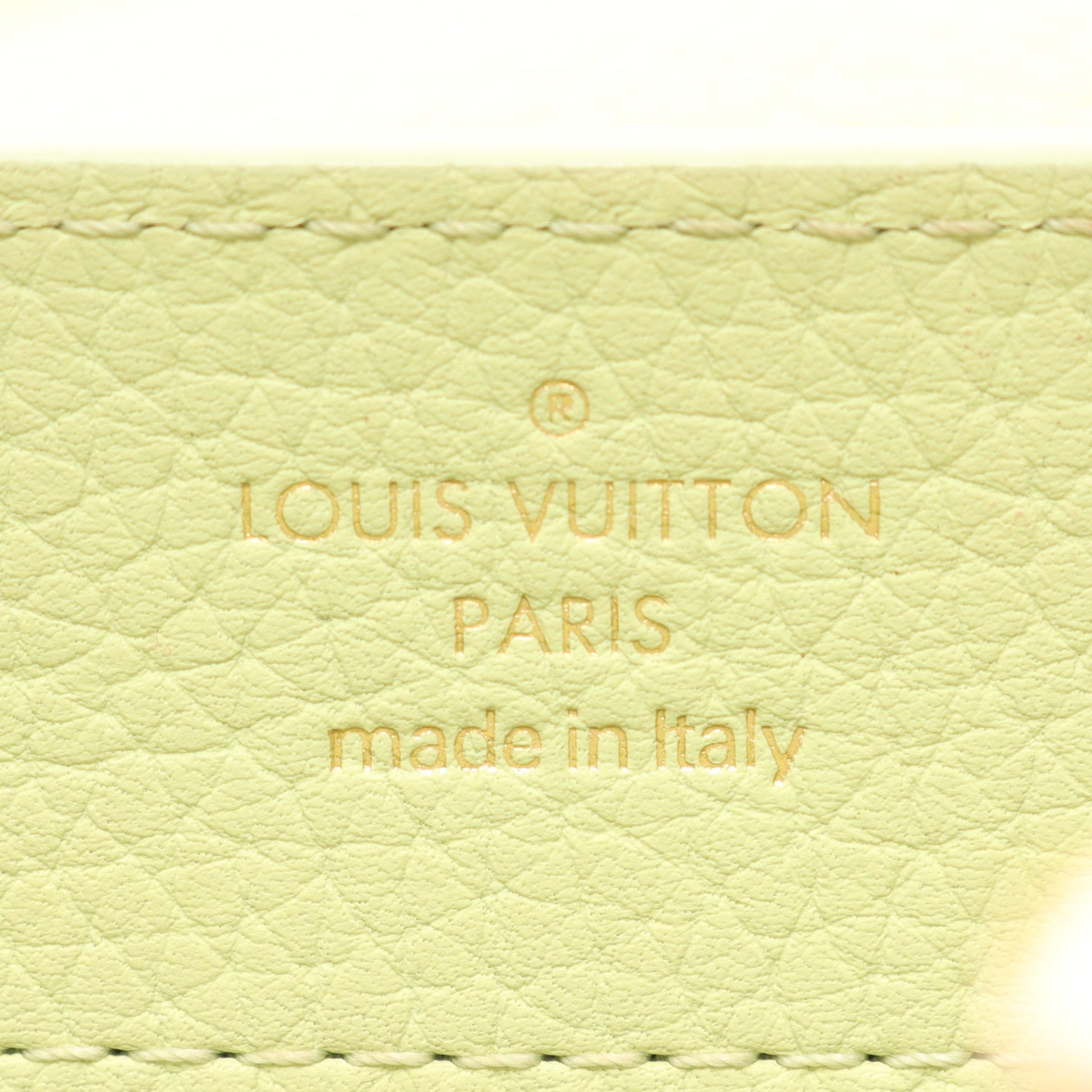 カプシーヌ MINI ハンドバッグ レザー イエローグリーン オフホワイト グレーグリーン 2WAY ルイヴィトン バッグ LOUIS VUITTON