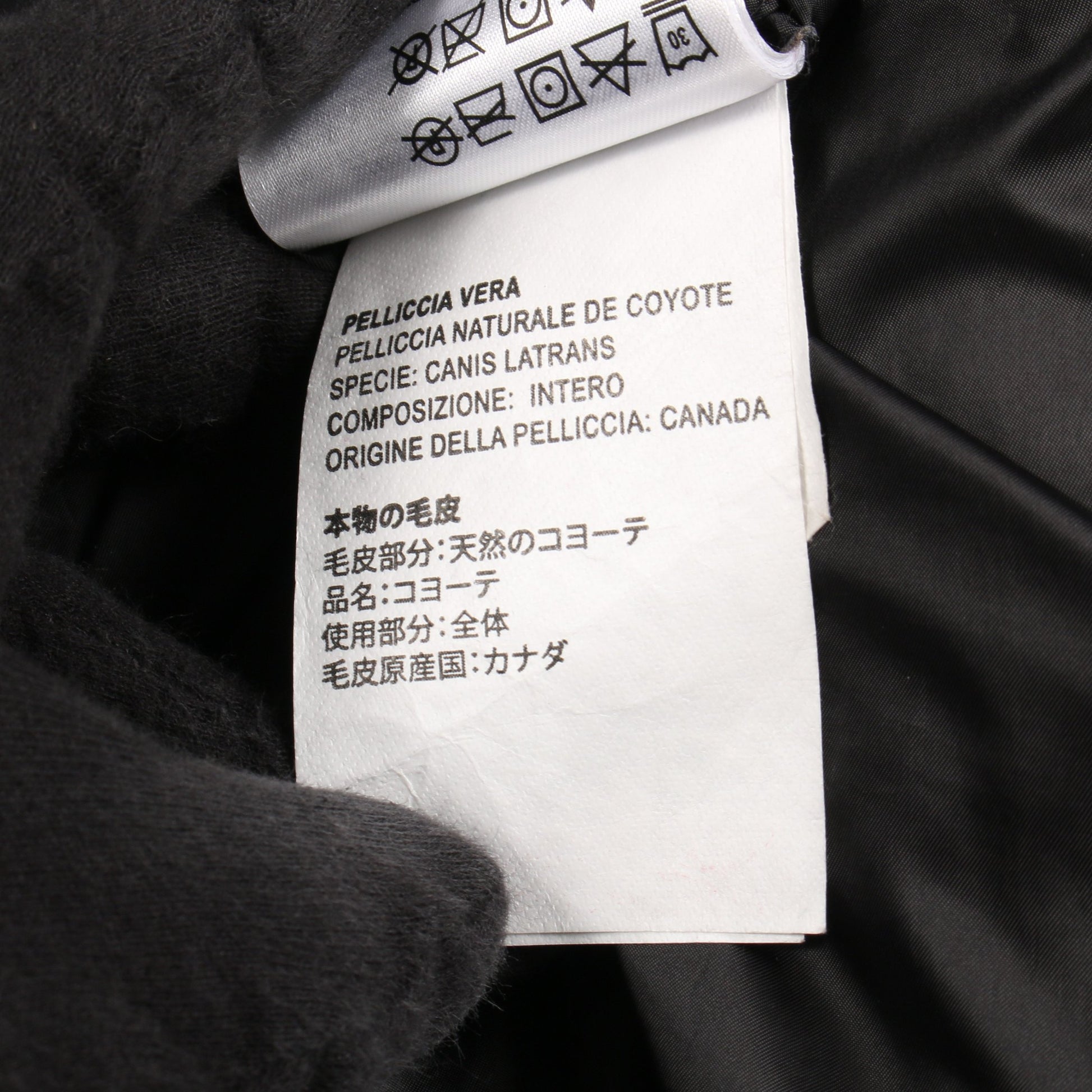 PEMBINA COAT BLACK LABEL ダウンコート グレー フード付き カナダグース アウター CANADA GOOSE