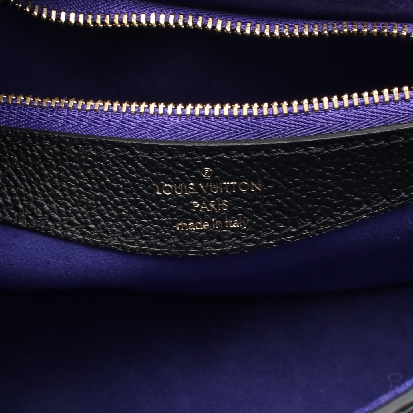 ディアヌ モノグラムアンプラント ノワール ハンドバッグ レザー ブラック 2WAY ルイヴィトン バッグ LOUIS VUITTON