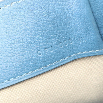 フラッシュ ブルードガリス バックパック リュックサック エバーカラー ブルー シルバー金具 C刻印 エルメス バッグ HERMES