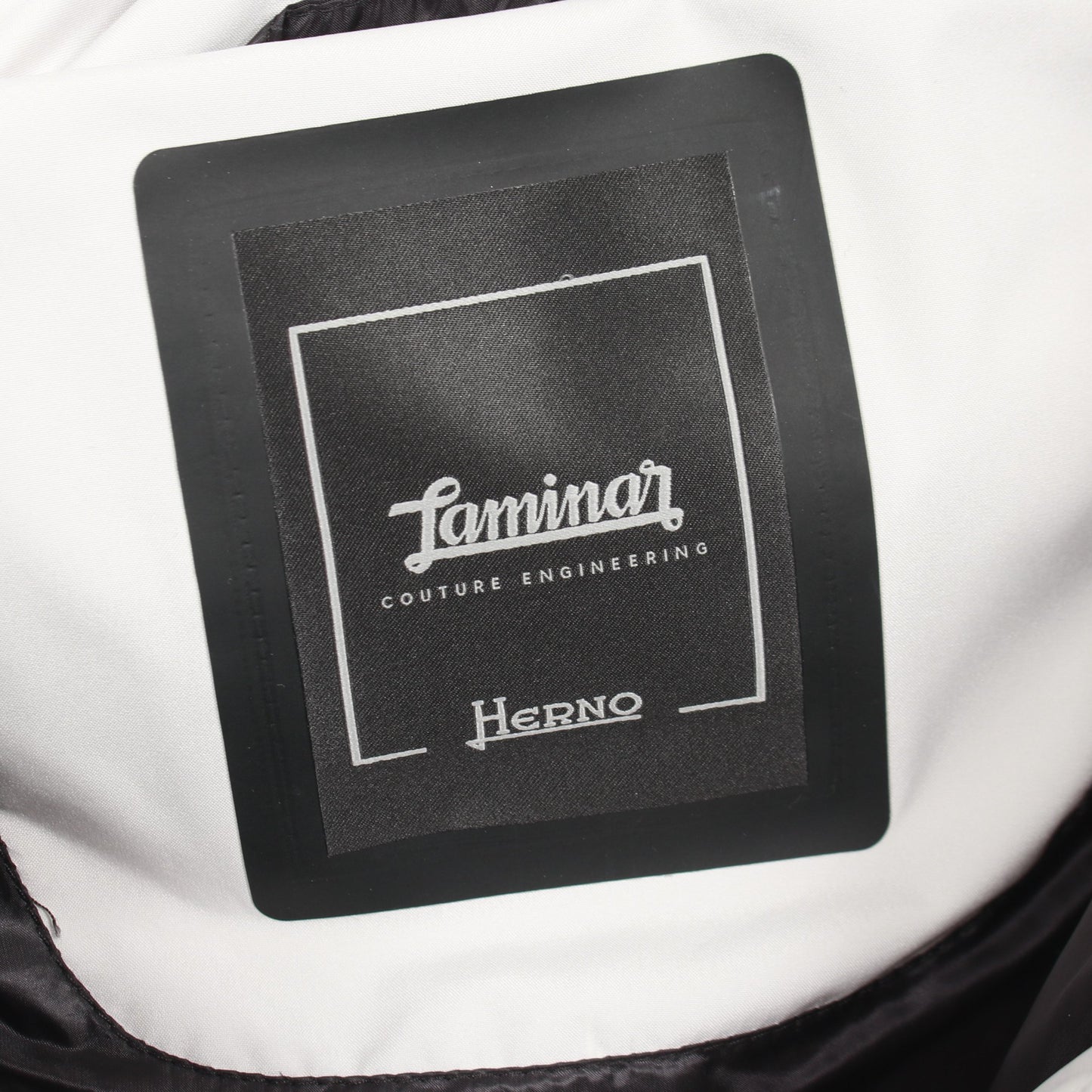 Laminar GORE-TEX WINDSTOPPER ダウンジャケット ライトグレー フード付き ヘルノ アウター HERNO