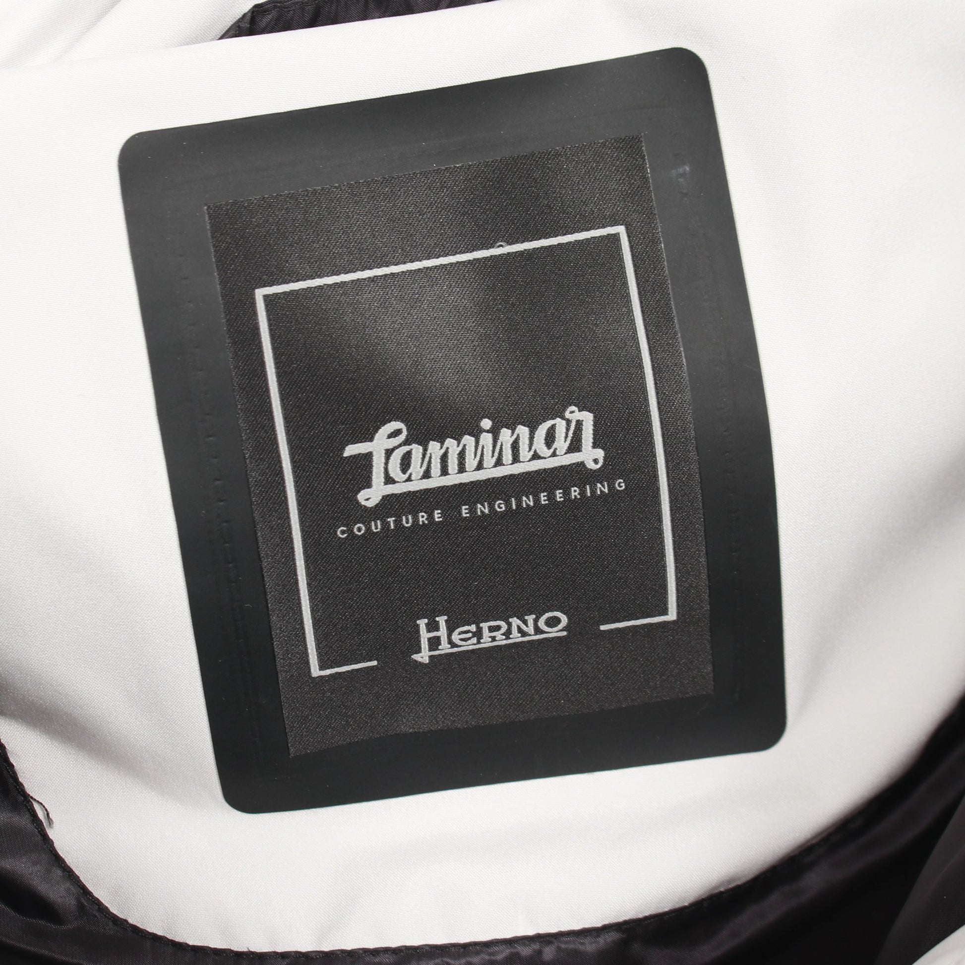 Laminar GORE-TEX WINDSTOPPER ダウンジャケット ライトグレー フード付き ヘルノ アウター HERNO