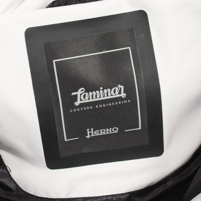 Laminar GORE-TEX WINDSTOPPER ダウンジャケット ライトグレー フード付き ヘルノ アウター HERNO