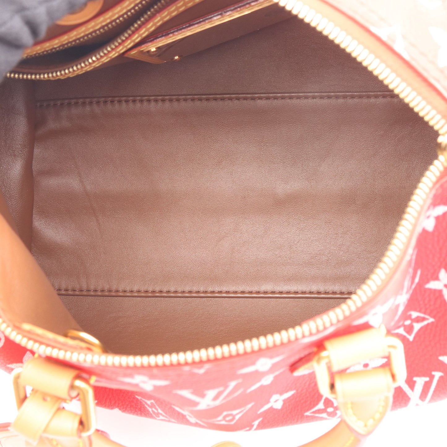 スピーディ P9 バンドリエール25 ルージュ ハンドバッグ PVC レザー レッド 2WAY ルイヴィトン バッグ LOUIS VUITTON