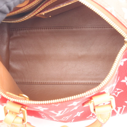 スピーディ P9 バンドリエール25 ルージュ ハンドバッグ PVC レザー レッド 2WAY ルイヴィトン バッグ LOUIS VUITTON