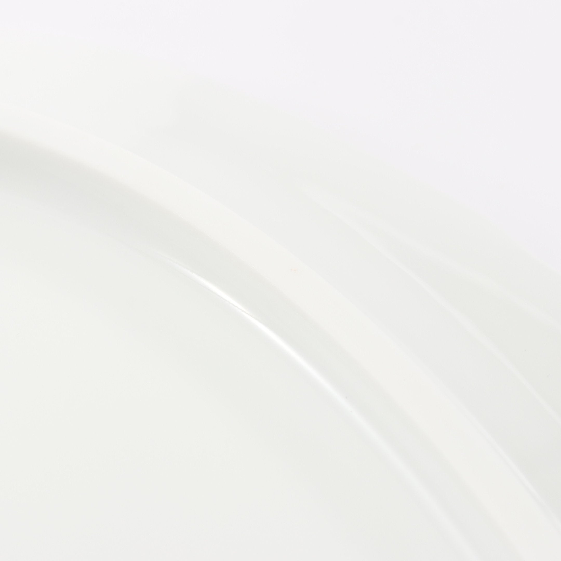 Van Cleef & Arpels × RAYNAUD プレート 食器 陶器 ホワイト