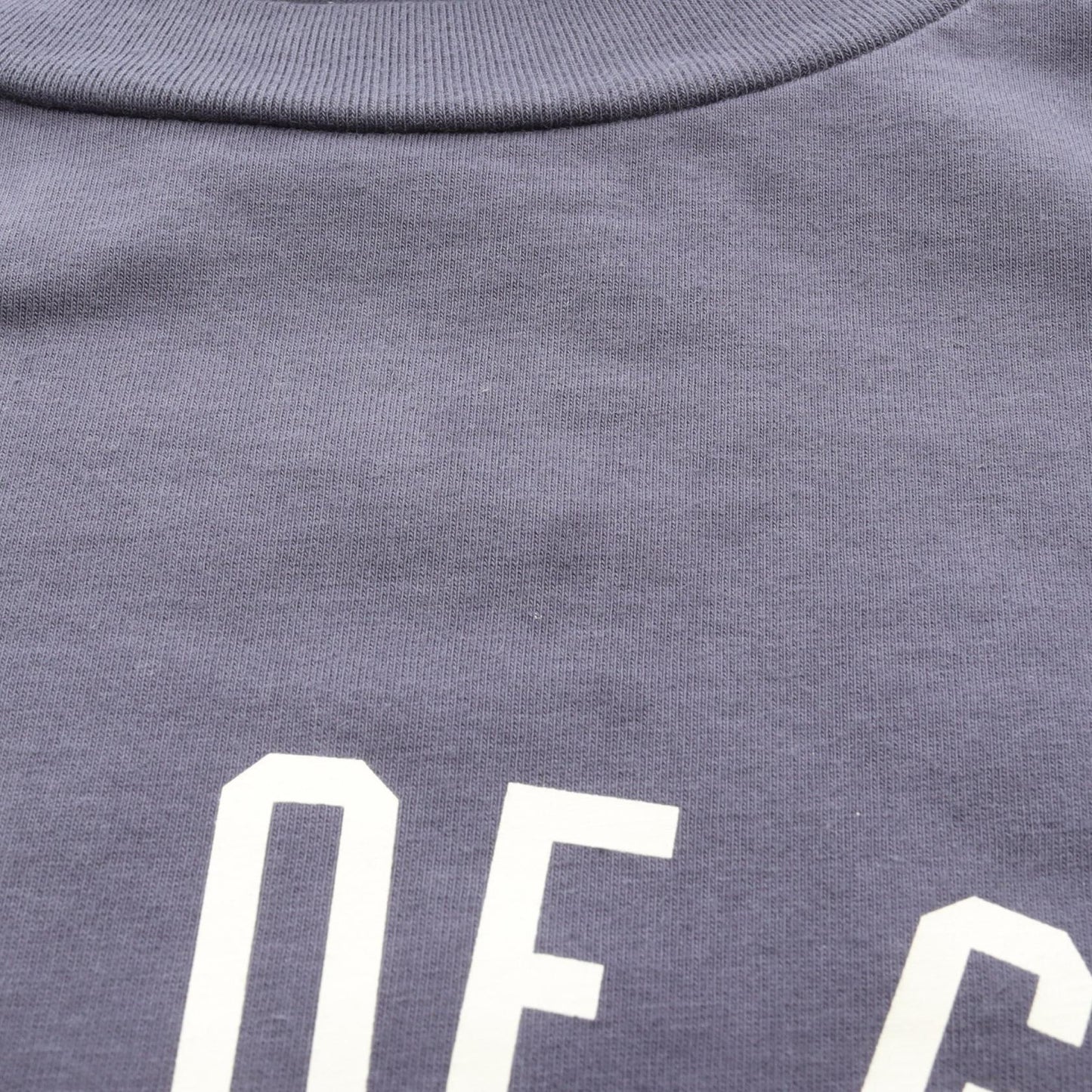 ロゴ クルーネック 長袖Tシャツ コットン ブルーグレー エフオージーエッセンシャルズ トップス FOG ESSENTIALS
