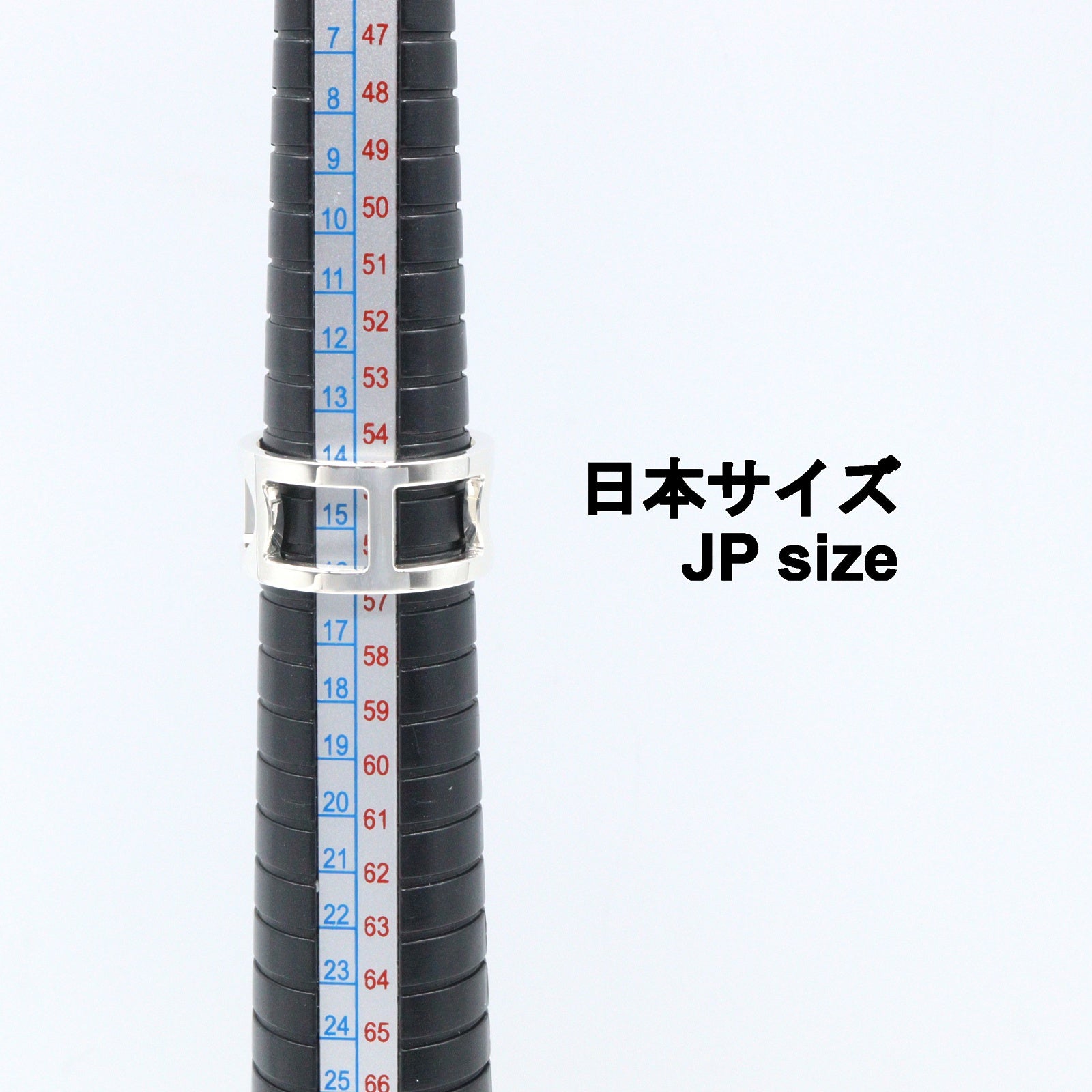 エヴァーシェーヌダンクル リング MM リング 指輪 SV925 シルバー