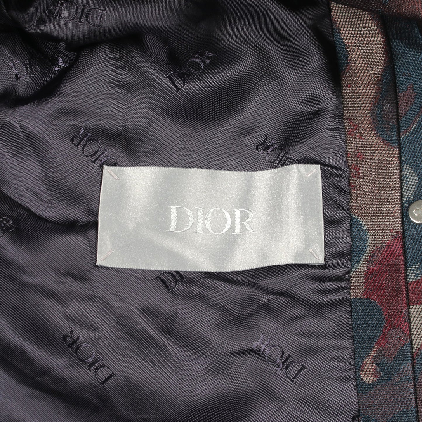 DIOR × PETER DOIG ブルゾン ジャケット ブルーグリーン ダークブラウン マルチカラー 中綿 ディオール アウター DIOR