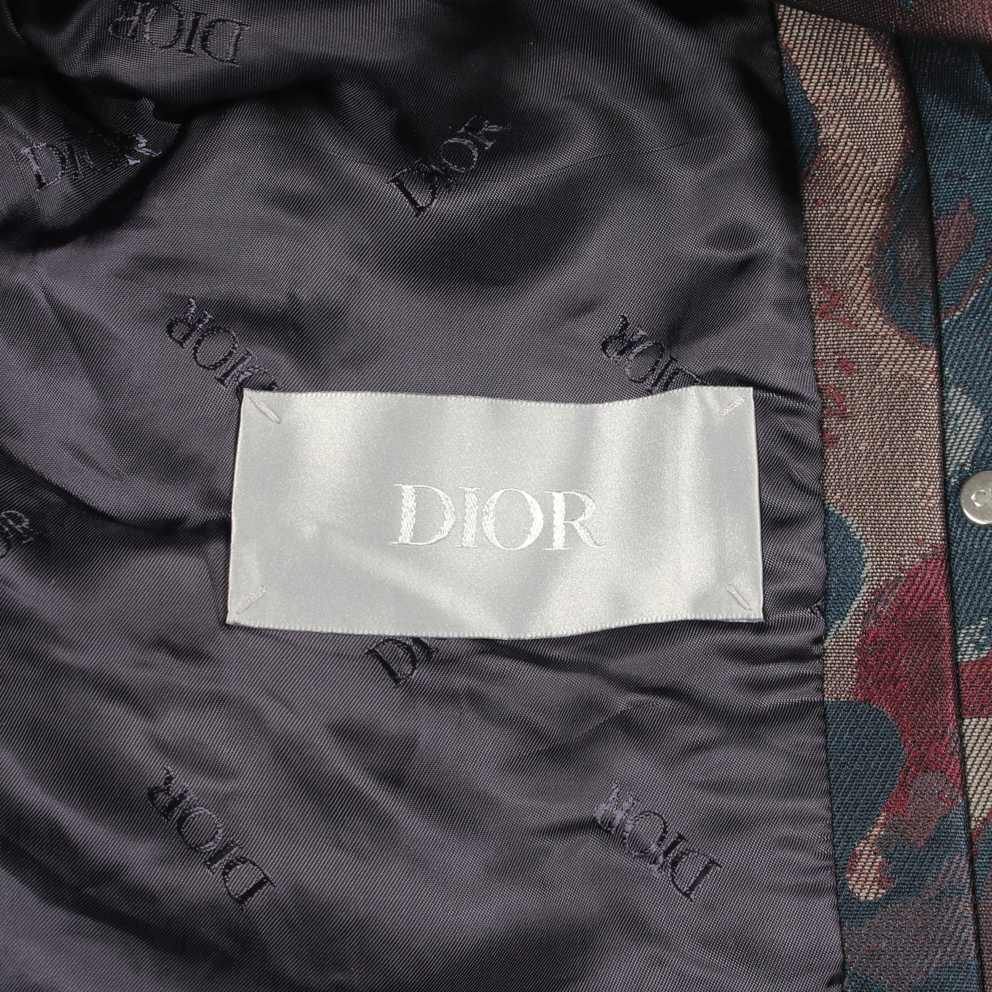 DIOR × PETER DOIG ブルゾン ジャケット ブルーグリーン ダークブラウン マルチカラー 中綿 ディオール アウター DIOR