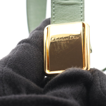 30 MONTAIGNE モンテーニュ ショルダーバッグ レザー ライトグリーン クリスチャンディオール バッグ Christian Dior