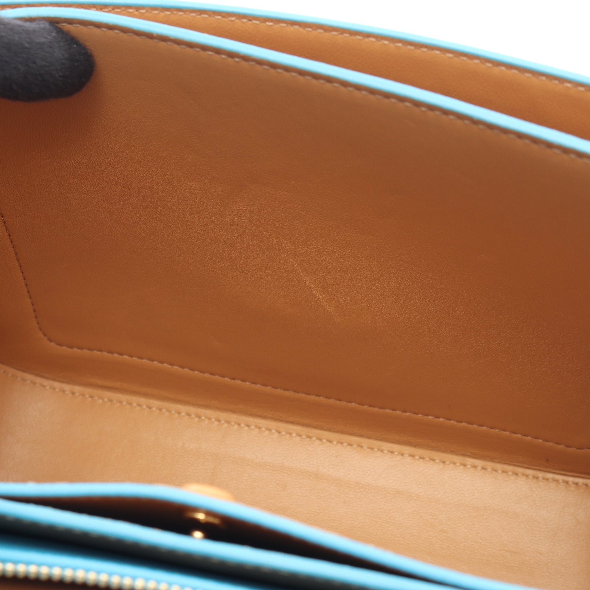 ゴヤ ミディアム ショルダーバッグ レザー ライトブルー ロエベ バッグ LOEWE