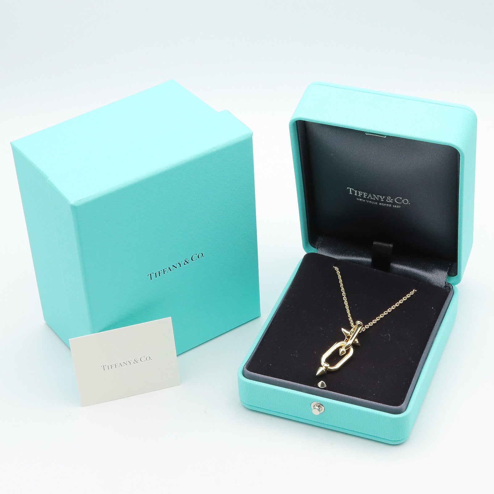 タイタン by ファレル ウィリアムス ネックレス ネックレス K18YG ゴールド イエローゴールド ティファニー アクセサリー TIFFANY & Co.