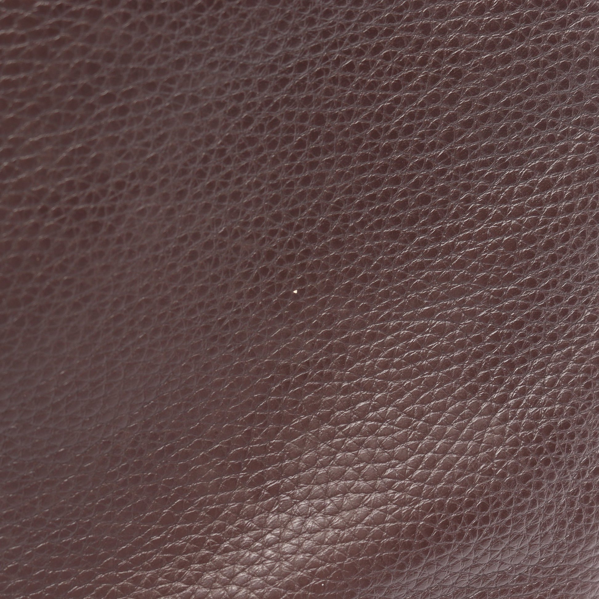 センダ ショルダーバッグ レザー ダークブラウン ロエベ バッグ LOEWE