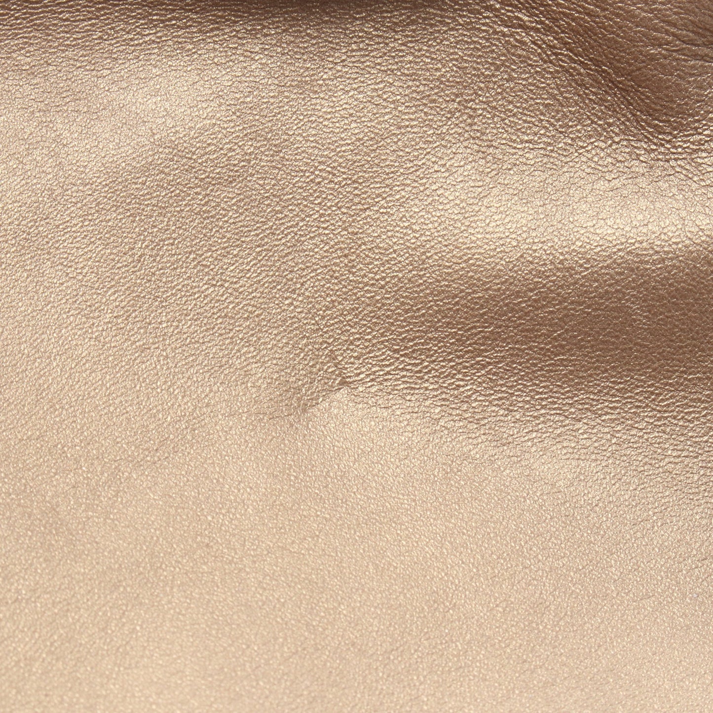 ナッパアイレ ハンドバッグ レザー ゴールド ロエベ バッグ LOEWE