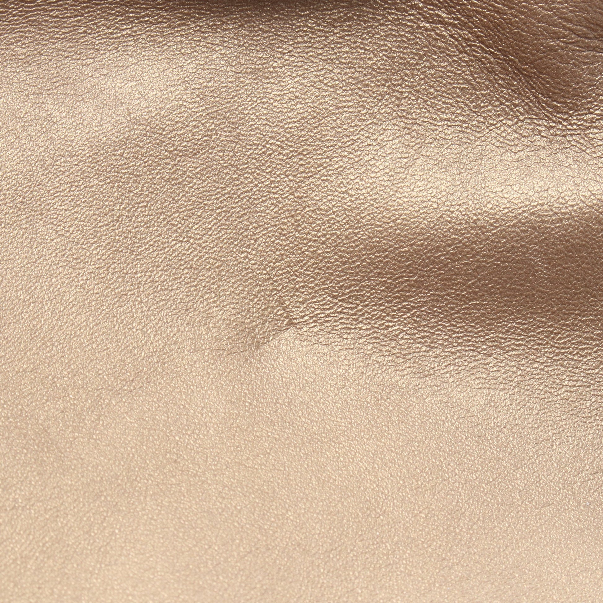 ナッパアイレ ハンドバッグ レザー ゴールド ロエベ バッグ LOEWE