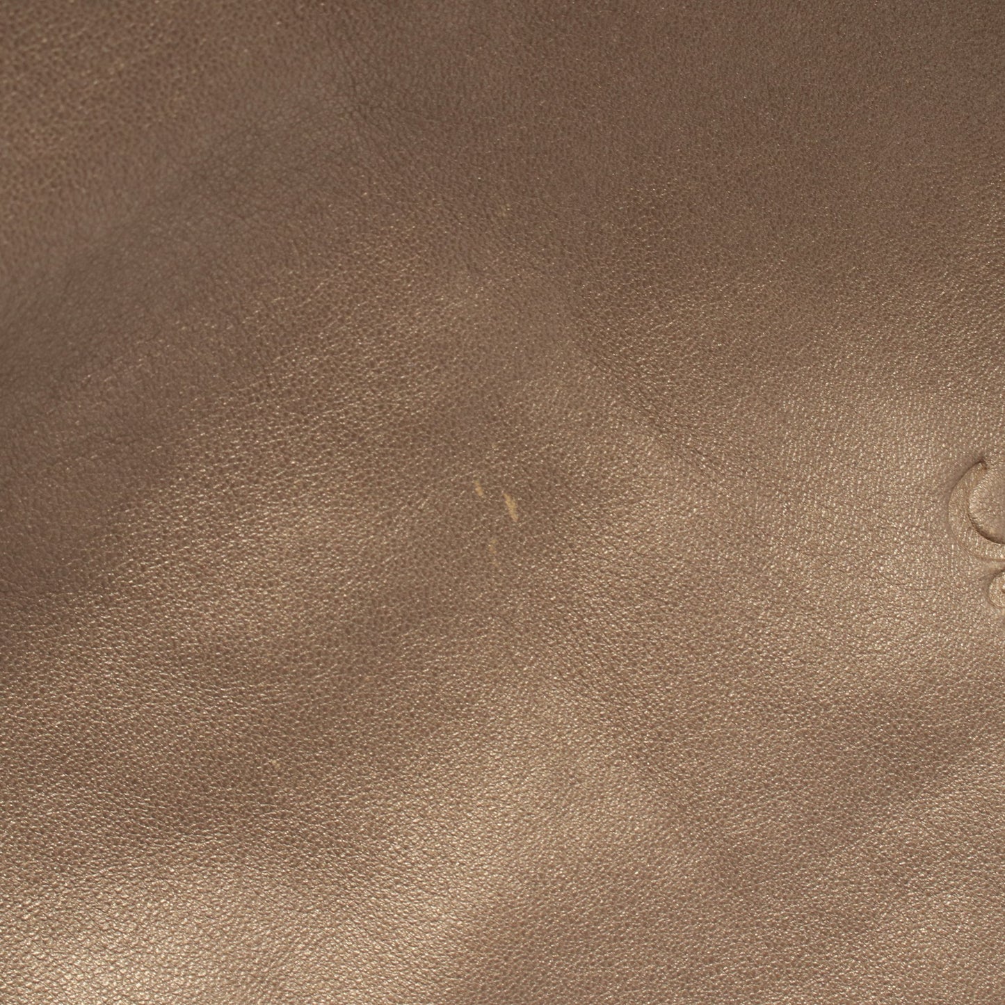 アナグラム ワンショルダーバッグ レザー ゴールド ロエベ バッグ LOEWE