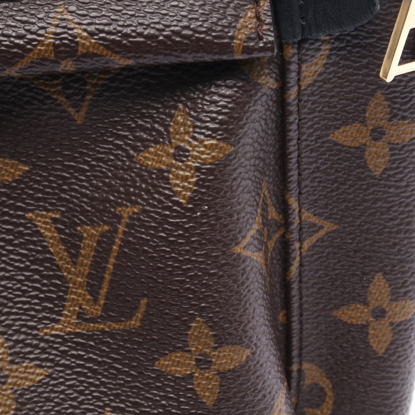 パームスプリングスPM モノグラム バックパック リュックサック PVC レザー ブラウン ブラック ルイヴィトン バッグ LOUIS VUITTON