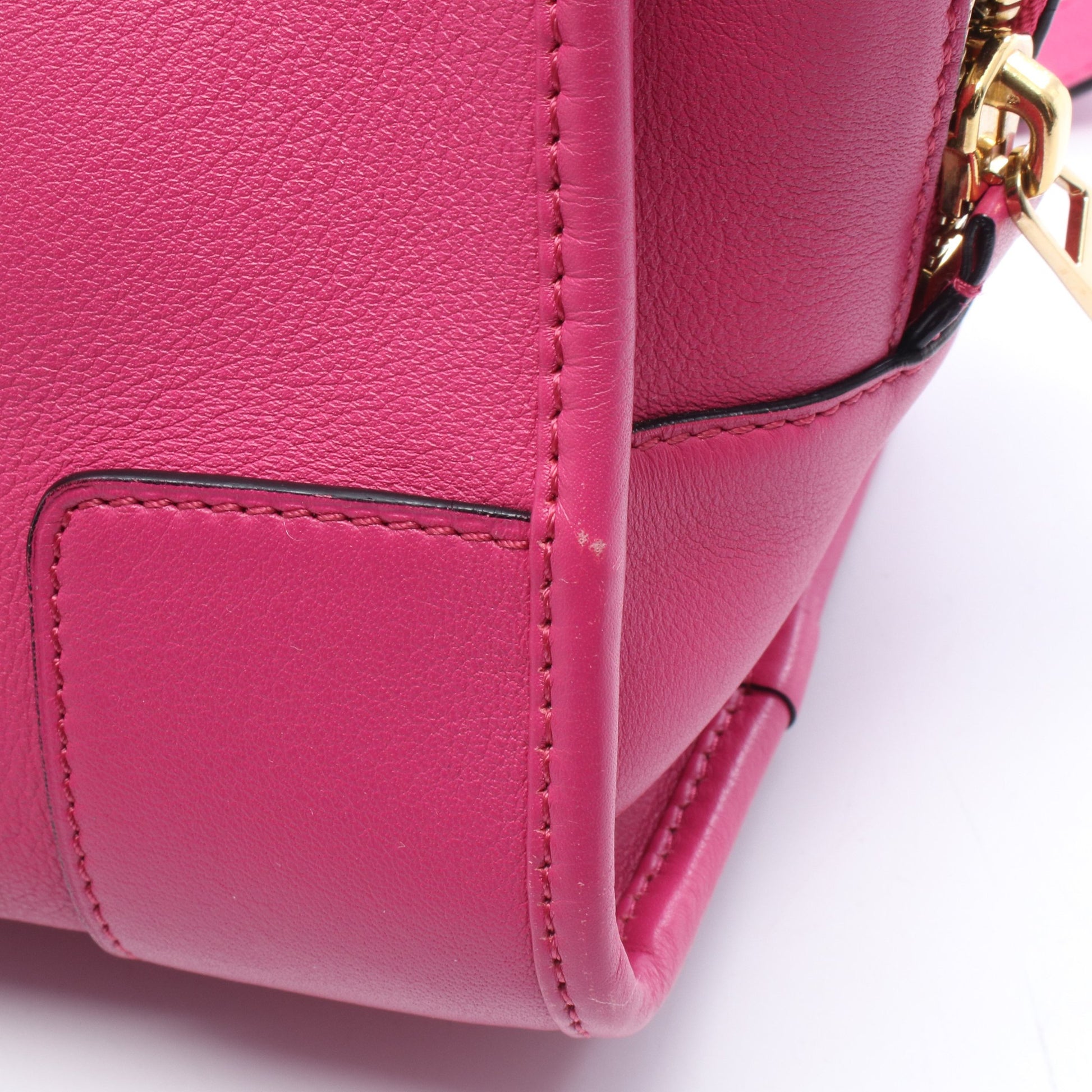 アマソナ28 2WAY ハンドバッグ レザー ピンク ロエベ バッグ LOEWE
