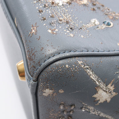 LADY DIOR レディディオール 刺繍 2WAY ハンドバッグ レザー ブルーグレー クリスチャンディオール バッグ Christian Dior