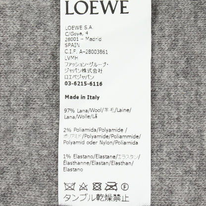 アナグラム ニット プルオーバーパーカー ウール アイボリー ロエベ トップス LOEWE