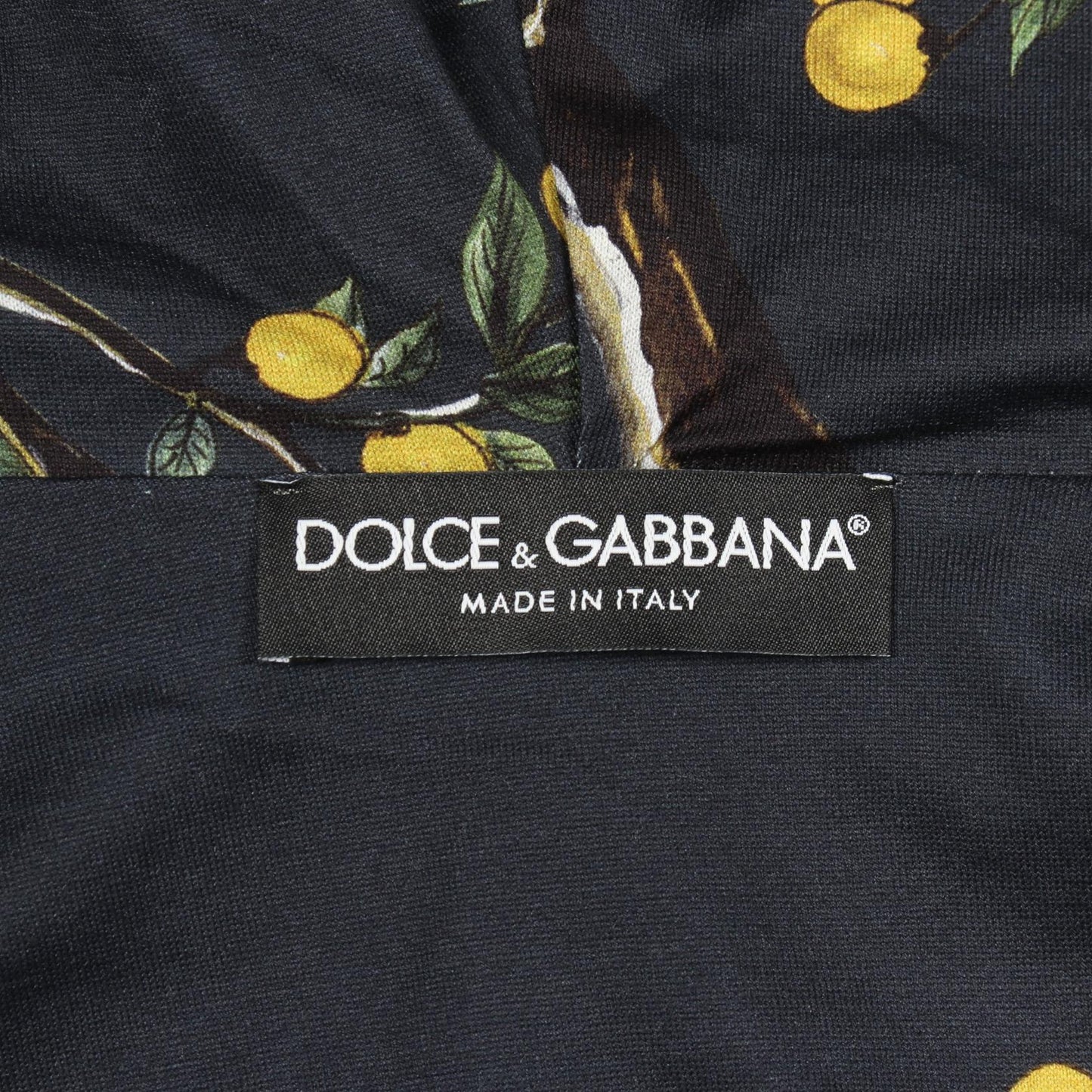バードプリント 総柄 ジップアップパーカー コットン ネイビー マルチカラー ドルチェアンドガッバーナ トップス DOLCE&GABBANA