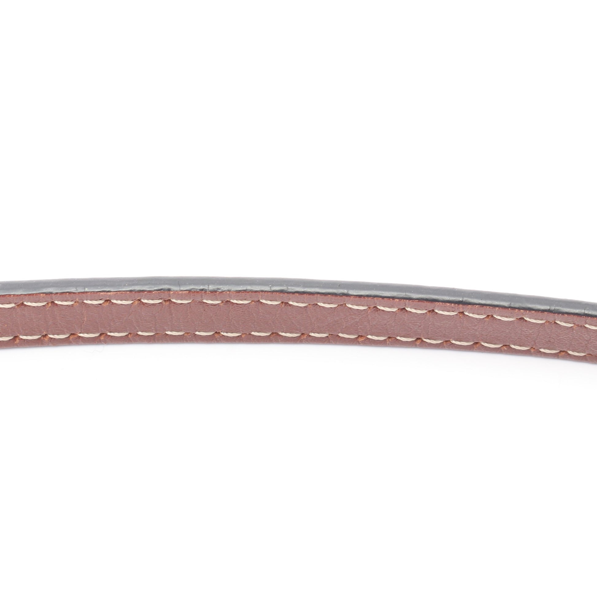 ゲートバッグ ミニ ショルダーバッグ レザー ブラウン ロエベ バッグ LOEWE