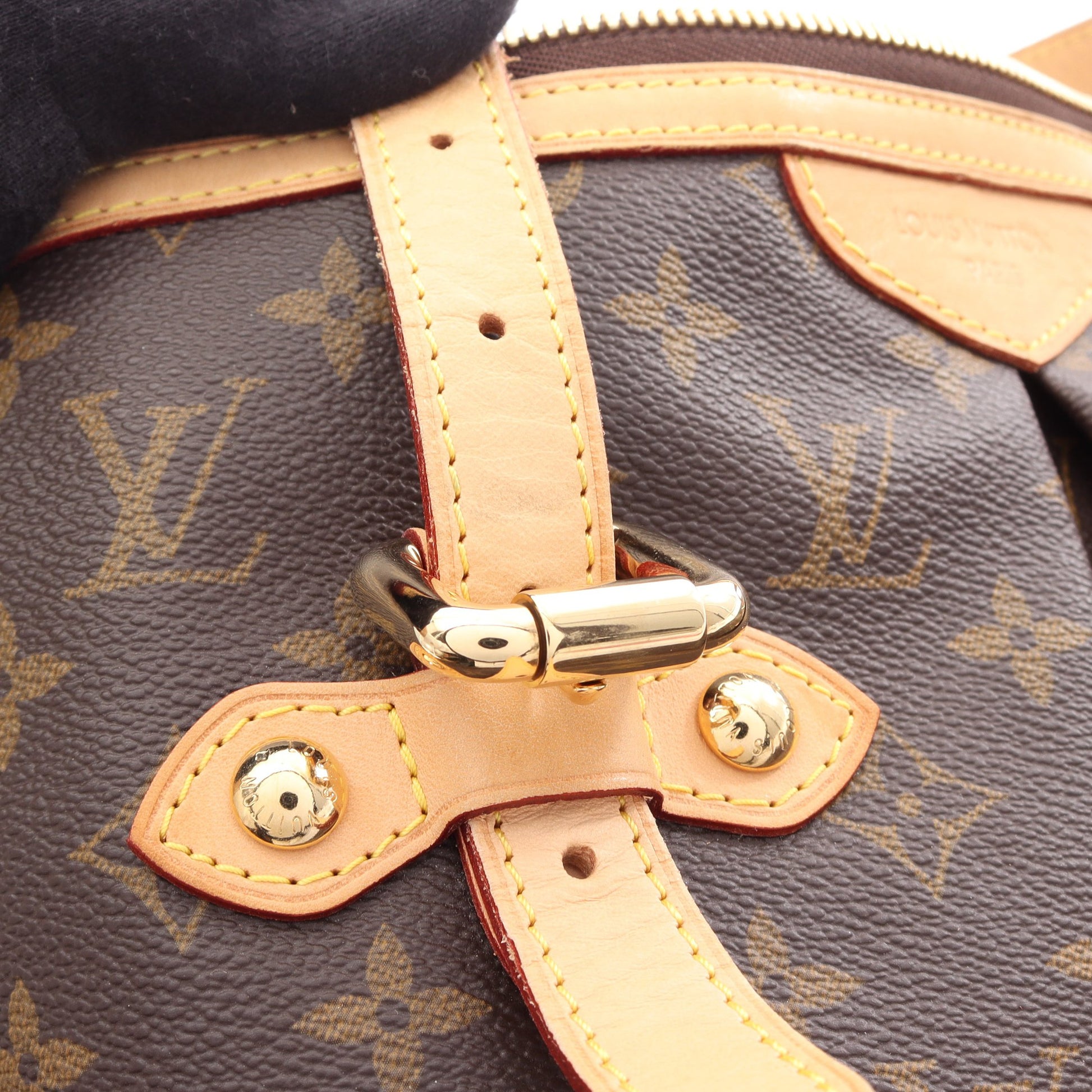 パレルモGM モノグラム 2WAY ショルダーバッグ PVC レザー ブラウン ルイヴィトン バッグ LOUIS VUITTON